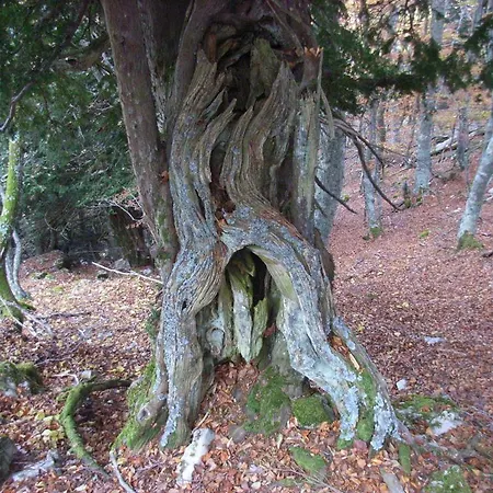 Valle Tosande Casa di campagna