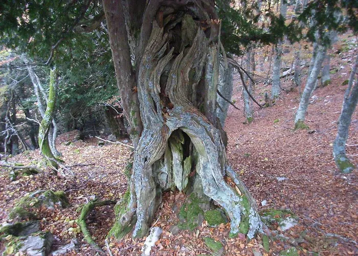 Casa Rural Valle Tosande Landhaus